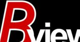 BVIEW Logo 