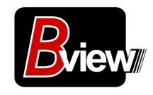 BVIEW Logo 