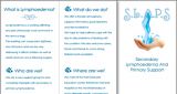 SLAPS A4 Gatefold Leaflets and Posters